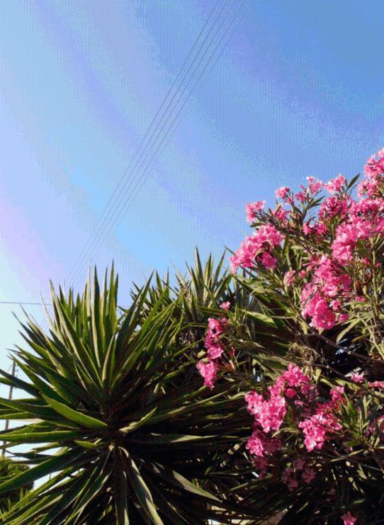 Blue Sky Apartment Chora  Bagian luar foto